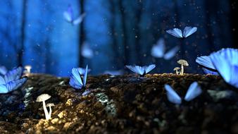 blue butterflies in the forest at night in a blurry background