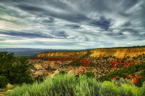 nature in colorado