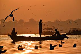 fishing boats and a flock of seagulls in the sea on a sunset background