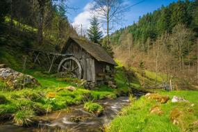 Mill Black Forest