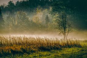 morning in early autumn