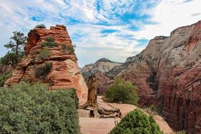 attractive Zion National Park