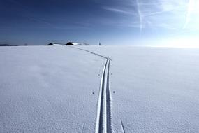 landscape of cross-country skiing trail in sunny winter day