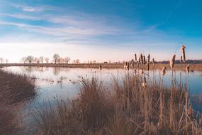 Landscape of Water Pond