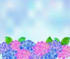 flowers vines drawing