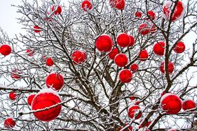 tree in the snow with red balls as a fantasy