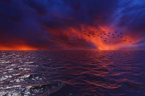 enchanting Sunset Water Afternoon