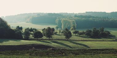 Beautiful landscape of the green meadow and hill, with the trees, in fog