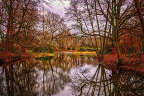 River Water forest