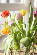 vases with tulips