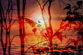 red sunset flowers drawing