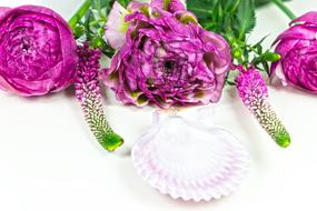 decoration with purple peonies and a white shell