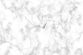 marble white background