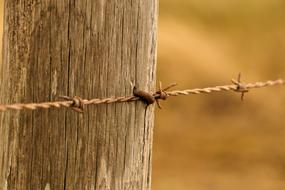 barbed wire on the background of a wooden pillar