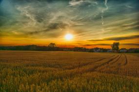 Beautiful landscape of the yellow fields and green trees at colorful sunset in Hagenbach, Germany
