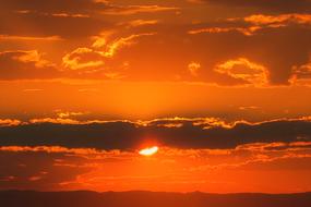 incredible Evening red