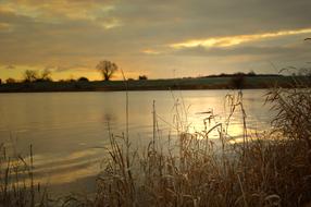 Beautiful river landscape, with the colorful grasses, at colorful sunrise