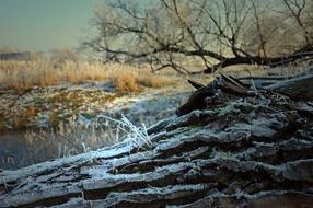 delightful Ripe Hoarfrost Frost