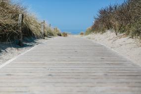 amazing North Sea Coast