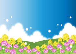 flower meadow as colorful illustration