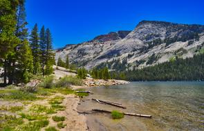 Lake shore at mountain Landscape, usa, california, Yosemite National Park