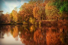 Pond Water Still