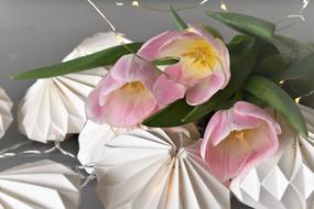 Table Decorations