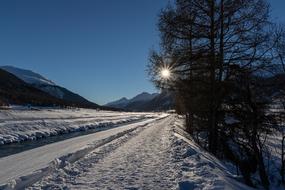 snowy road through a field on a sunny day