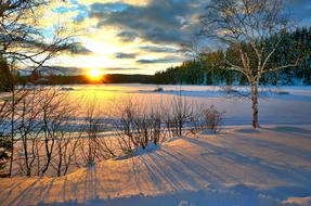 colorful twilight over winter nature