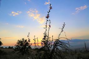 amazing Horizon Nature Dawn