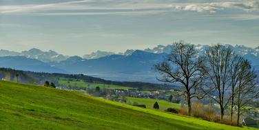 green meadow in a mountain range in Switzerland