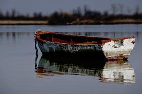 enchanting Boat Water Trip