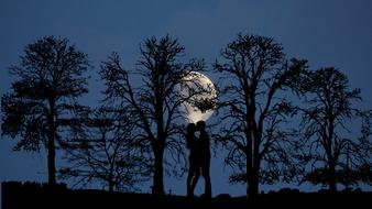 silhouettes of lovers among the trees at night