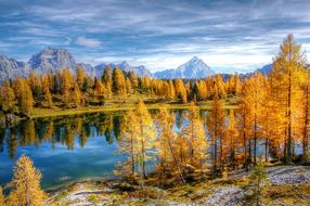 Beautiful and colorful landscape of Lago Federa, among the plants, on the Dolomites of Italy, under the cloudy sky