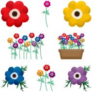 anemone flowers set drawing