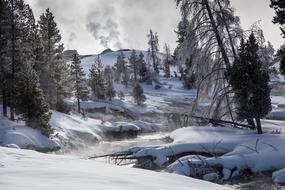 Snowy Winter at Firehole river, usa, wyoming, yellowstone national park