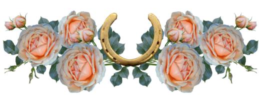 painted delicate flowers and a golden horseshoe