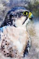 raptor bird, digital art