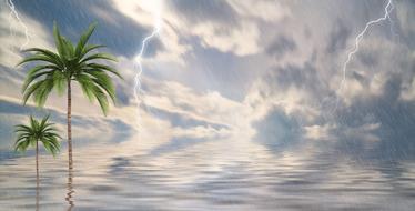 Rain Tropical Sea banner drawing