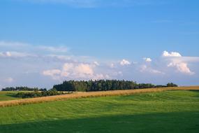 wonderful Meadow Field