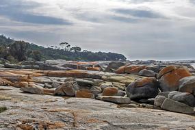 unusually beautiful Tasmania Nature