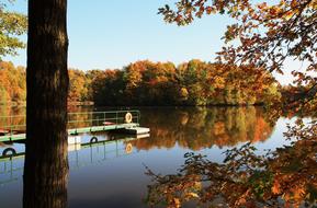 Autumn Leaves and Lake on a sunny day