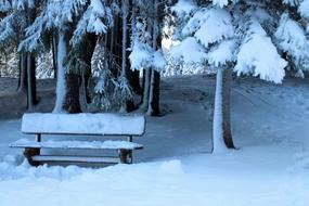 snow-covered bench under trees in winter forest