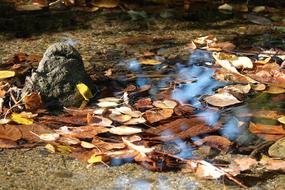 impressively beautiful Water Bach
