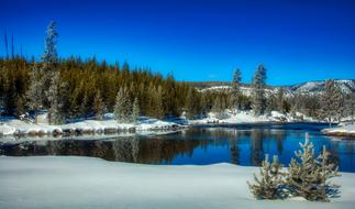 snow Yellowstone National Park