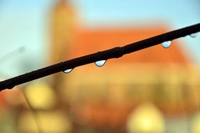 goodly Drops Of Water