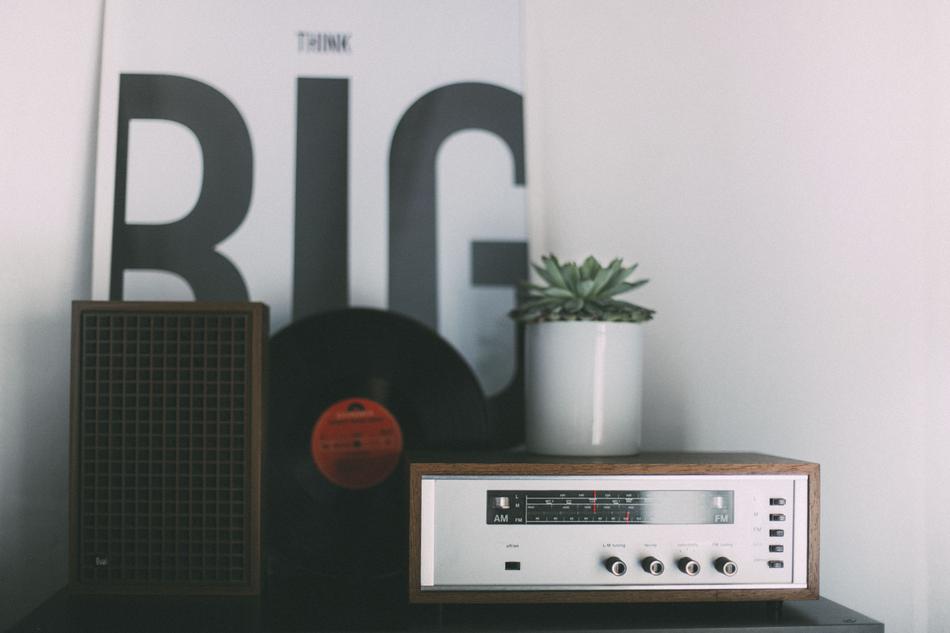 radio and plant