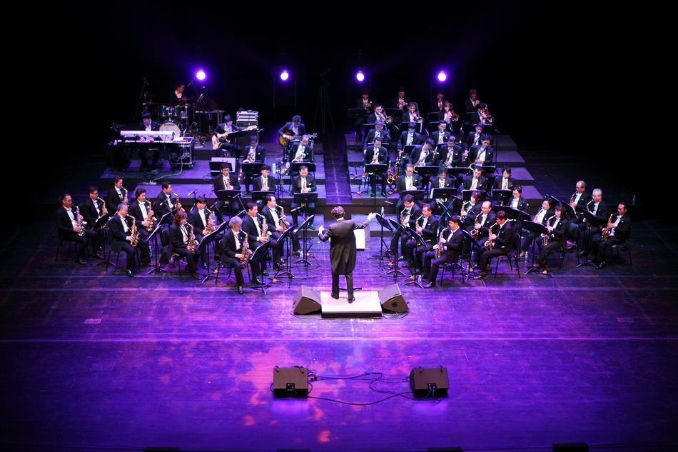 the orchestra plays under the purple spotlights