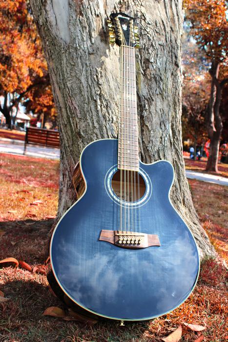 blue acoustic guitar near a tree in autumn
