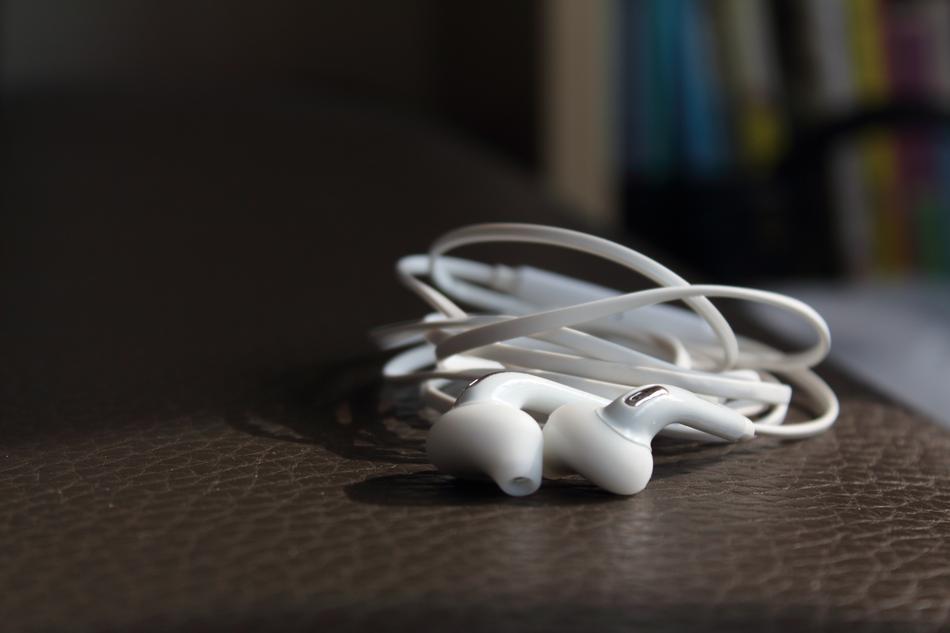 Electronic Earphone Products
